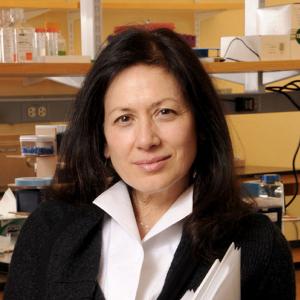 Dr. Margaret Karagas